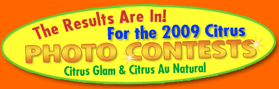 photo contest
